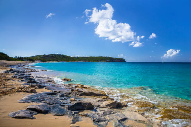 istock Beach on the Caribbean Sea 660051038