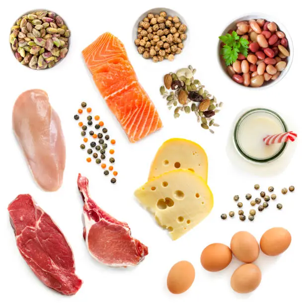 Food sources of protein, isolated, top view.  Includes meat, fish, dairy, beans, nuts and seeds.