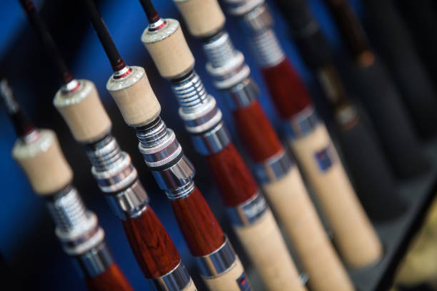 istock Many fishing rods 660080412