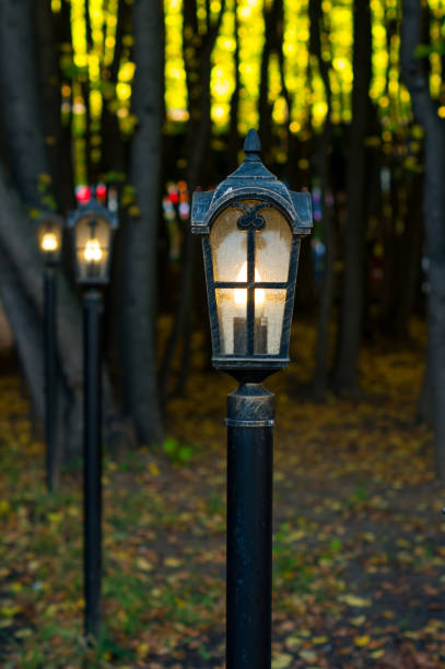 istock Street light in the park 660081580