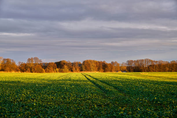 istock Landscape exposures Brandenburg, Germany 660098988