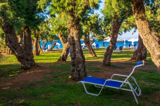 istock Sun loungers among the trees on the seafront 660150558