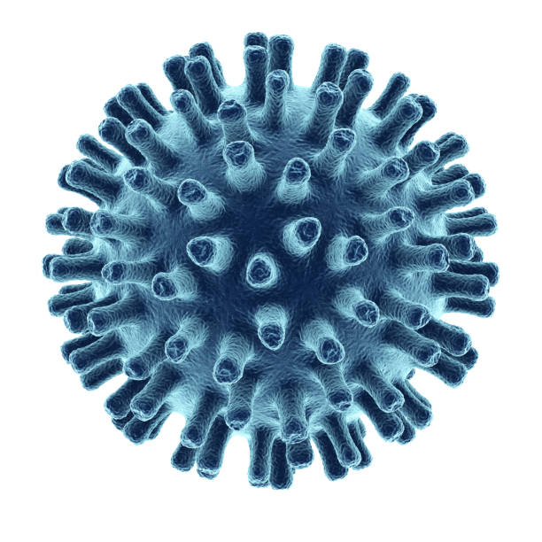 wirus wyizolowany na białym tle - bacterium high scale magnification magnification virus zdjęcia i obrazy z banku zdjęć