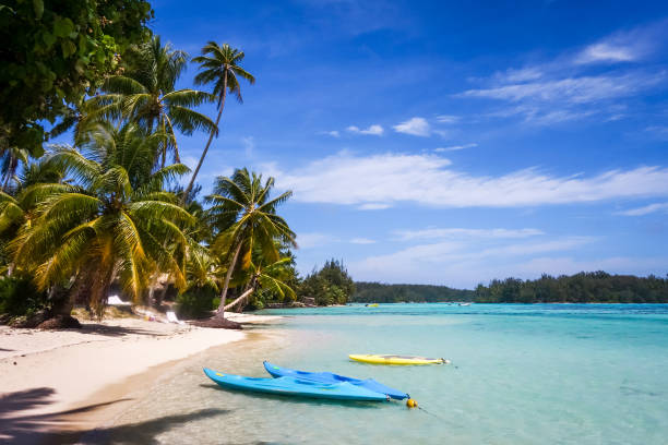 istock Paradise tropical beach and lagoon in Moorea Island 660172774