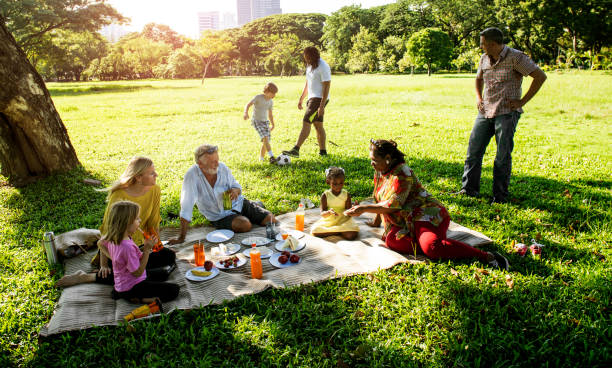 Family Picnic Outdoors Togetherness Relaxation Concept