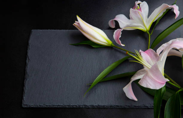 istock Lilies on black stone background.Spa concept 660197276