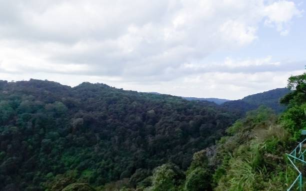 istock Scenery on Phu Thap Boek Phetchabun 660197648