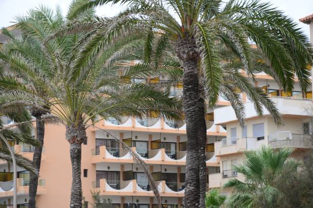 istock House barrels / City views in Mallorca - Spain 660211432