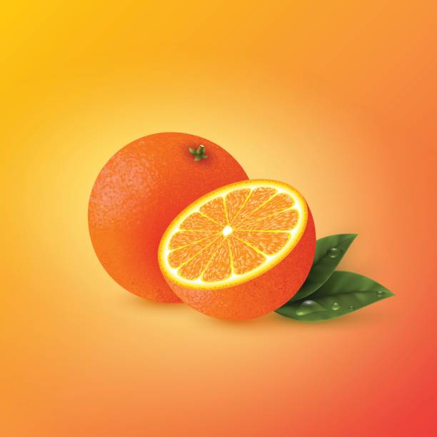 Realistic orange with leaves. Realistic half cut and whole orange with leaves. Yellow-red background. Vector illustration. citric acid stock illustrations