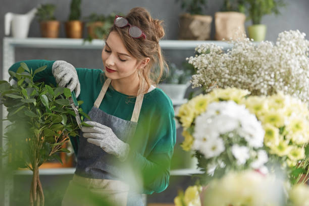 Young flower shop owner Young smiling flower shop owner surrounded by flowers florist stock pictures, royalty-free photos & images