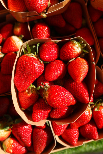 istock Strawberries at a market stall 660260572