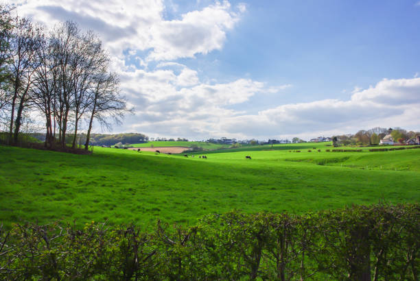 istock Landscape in Zuid Limburg 660262058