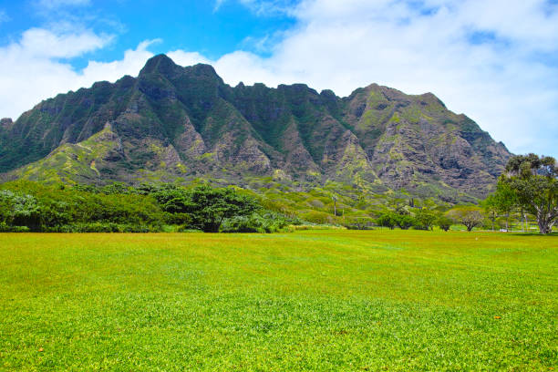 istock View from Kualoa Regional Park 660288244