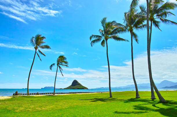 istock View from Kualoa Regional Park 660288378