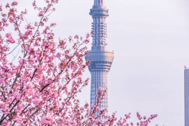 istock Tokyo landscape at spring in Japan (with cherry blossoms) 660303042