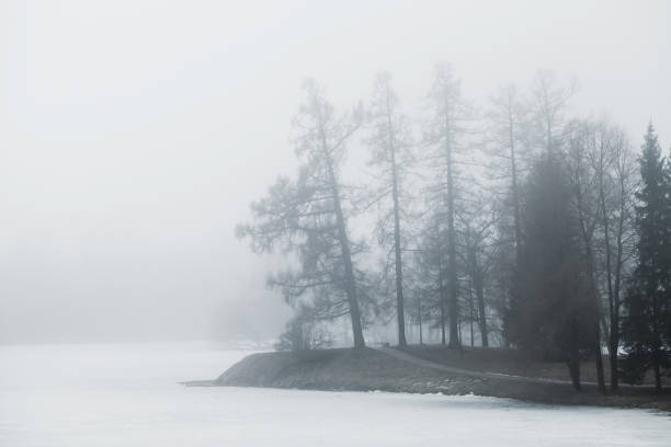 istock Foggy winter morning in winter park. Bare trees 660311612