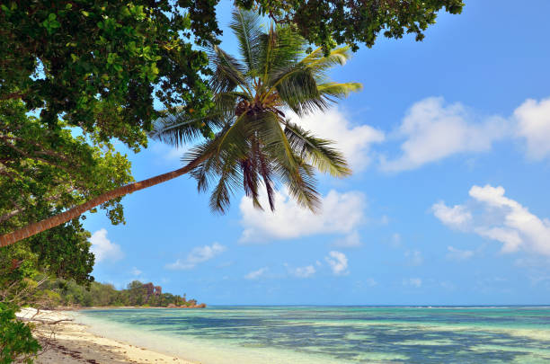 istock Seychelles island, La Digue 660324858