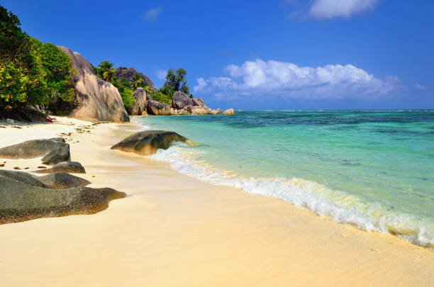 istock Tropical beach on Seychelles island 660324874