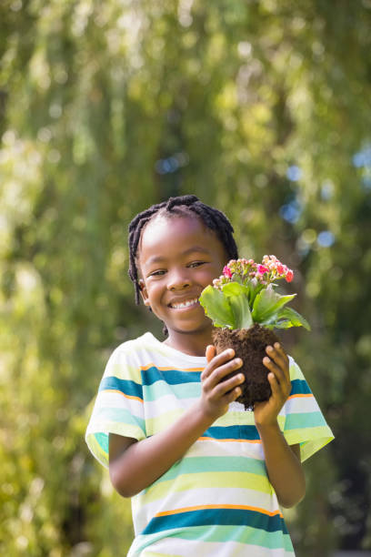 istock Smiling boy holding a plant 660325250
