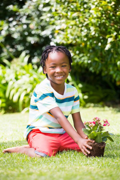 istock A boy sitting in the grass with plant 660325376