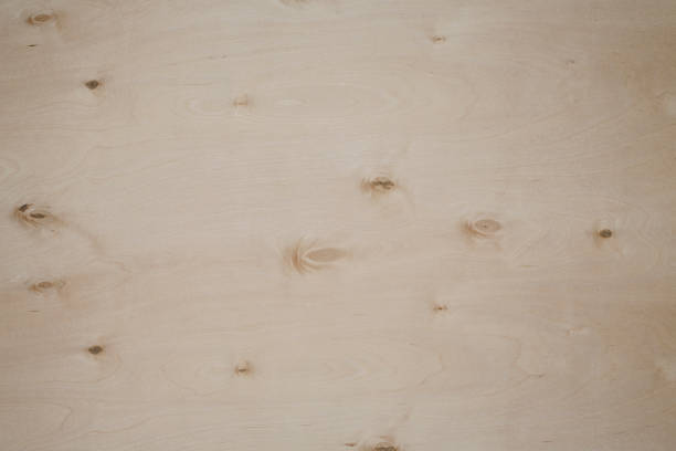 istock Light wood background Knotted wood texture 660325796