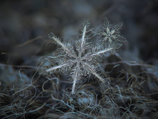 istock Two real snowflakes glittering on dark gray textured background 660328696