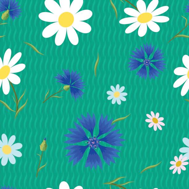 абстрактные цветы cornflowers-01 - chamomile entertainment nature leaf stock illustrations