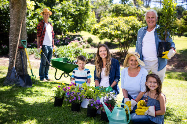 istock Multi-generation family gardening in the park 660341412