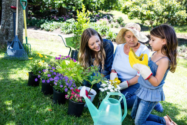 istock Multi-generation family gardening in the park 660344484