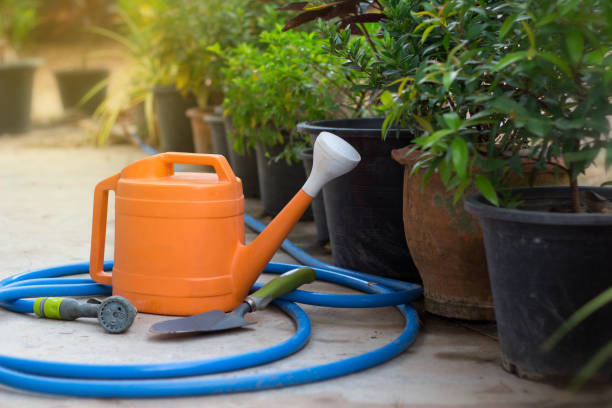 istock Watering and trovel for plant or tree at garden 660348396