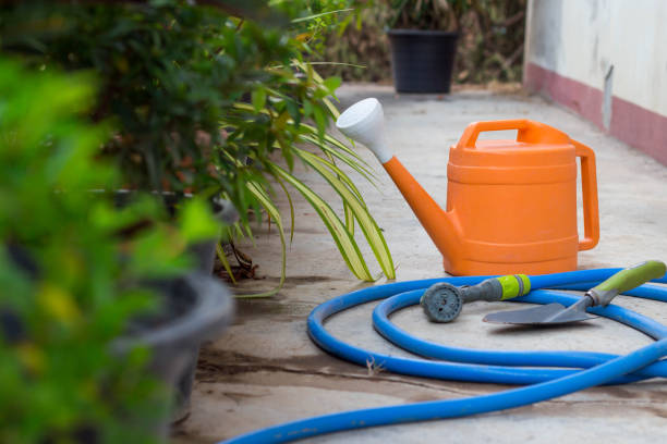 istock Watering and trovel for plant or tree at garden 660349182