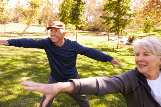 istock Senior Couple Doing Tai Chi Exercises Together In Park 660353254