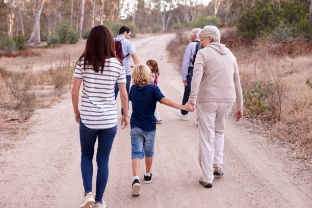 istock Multi Generation Family On Hike Through Countryside 660355634