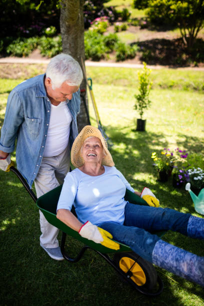 istock Senior couple playing with a wheelbarrow 660355904