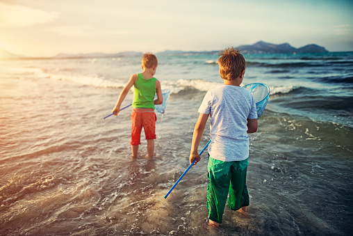 Little boys with fish nets trying to catch fish in the clean waters of mediterranean sea. The boys are aged 6.\n\n