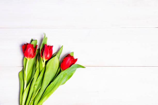 istock Early tulips on a light wooden background 660384808