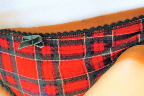 сделанный из шотландки - swimming trunks bikini swimwear red стоковые фото и изображения