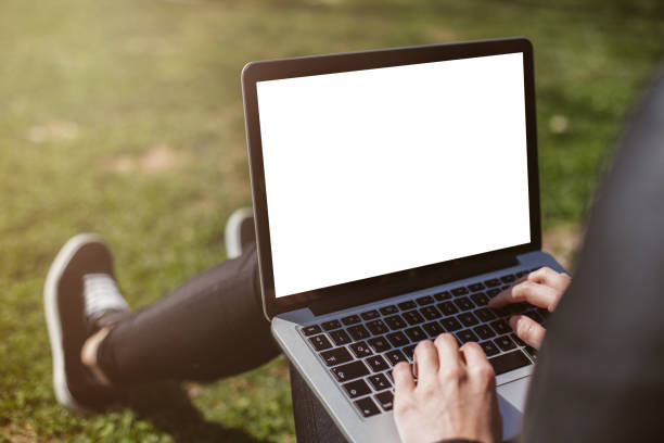 Woman using laptop in park