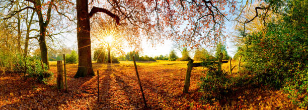 istock Beautiful landscape in autumn 660398756