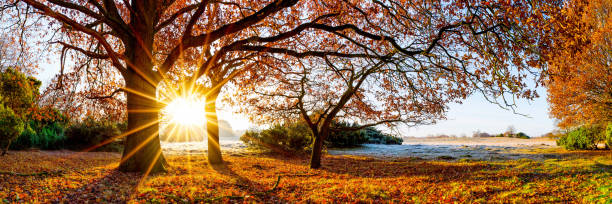istock Landscape in autumn at sunrise 660398760