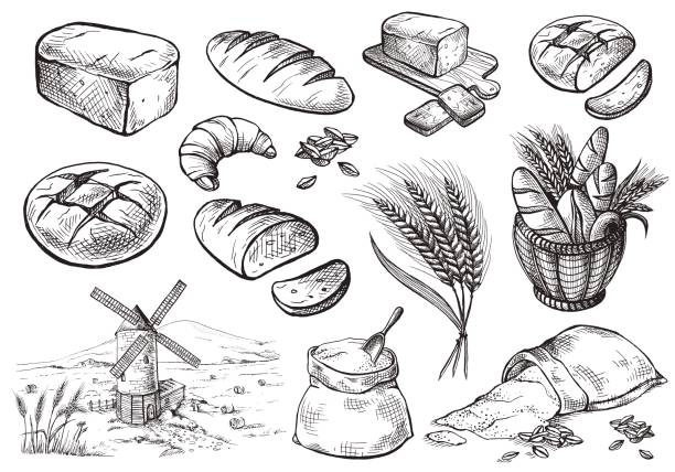 illustrazioni stock, clip art, cartoni animati e icone di tendenza di set di pane fresco - farina illustrazioni