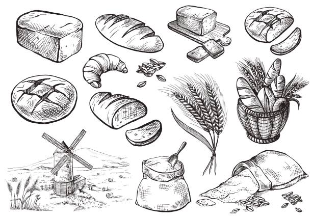 zestaw świeżego chleba - mąka stock illustrations