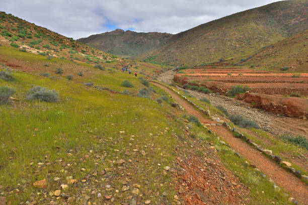 istock Toto - Trail to Barranco Las Penitas (Fuerteventura) 660409296