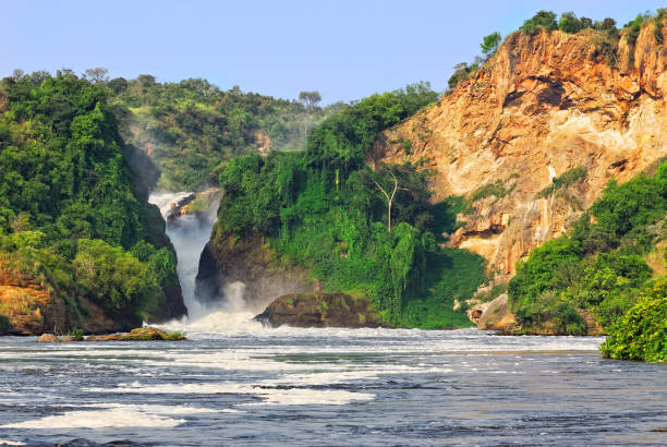 Murchison Falls The waterfall on the Victoria Nile, Murchison Falls , northern Uganda uganda stock pictures, royalty-free photos & images