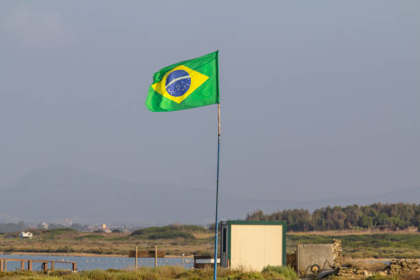 istock Brazil flag waving in the evening 660415482