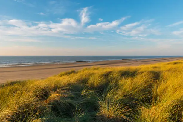 Photo of Dunes at sunset - Belgium