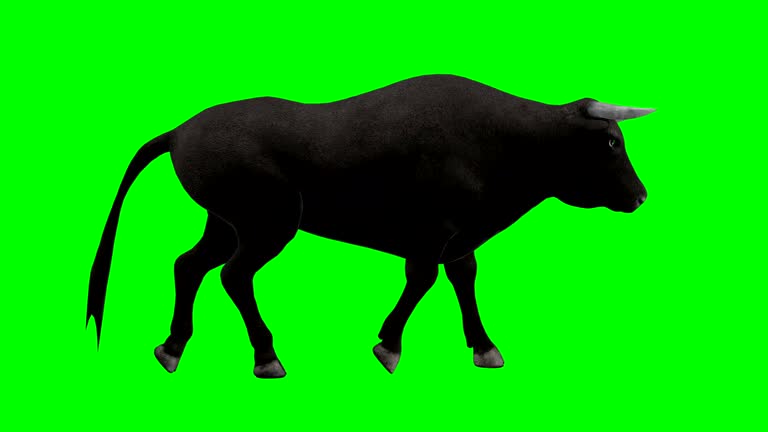 Bull Walking Green Screen (Loopable)