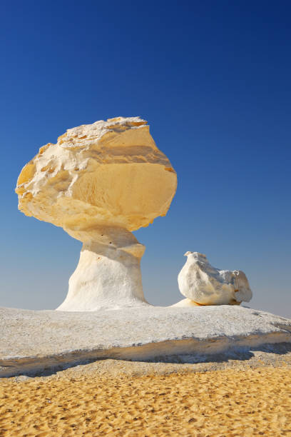 istock Rocks like a mushroom and a chicken 660425770