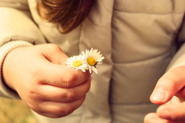 istock Love me or Love me not 660437862