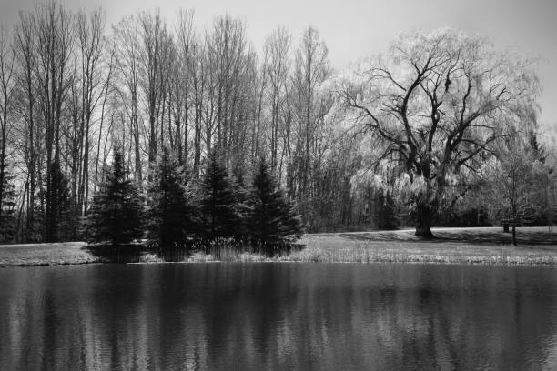 istock Reflections of a Time Not So Long Ago 660439210